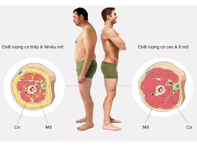 Đánh giá chính xác tình trạng cơ thể