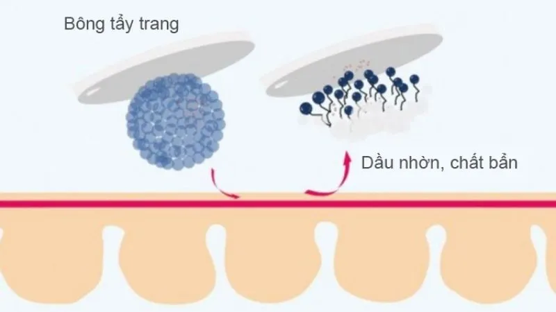 Nên Dùng Dầu Tẩy Trang Hay Nước Tẩy Trang? 