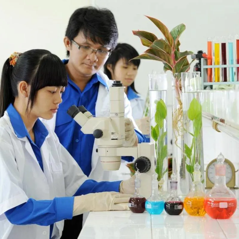 Gợi ý quà tặng cho chuyên viên môi trường ý nghĩa và độc đáo