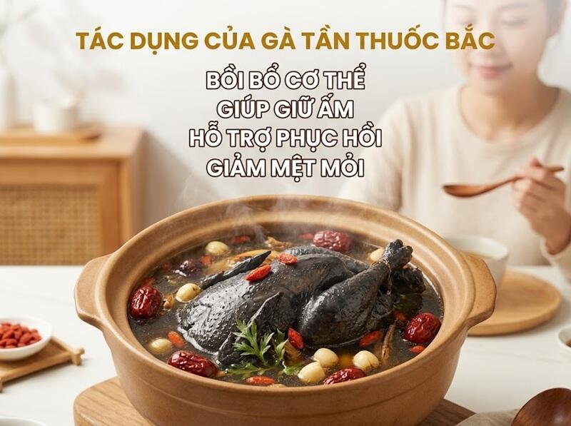 Tác dụng của gà tần thuốc bắc
