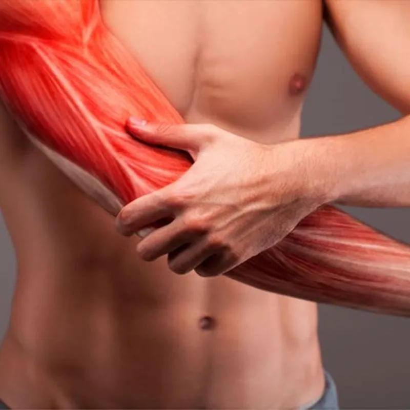 Kích thích tuần hoàn máu và hỗ trợ phục hồi