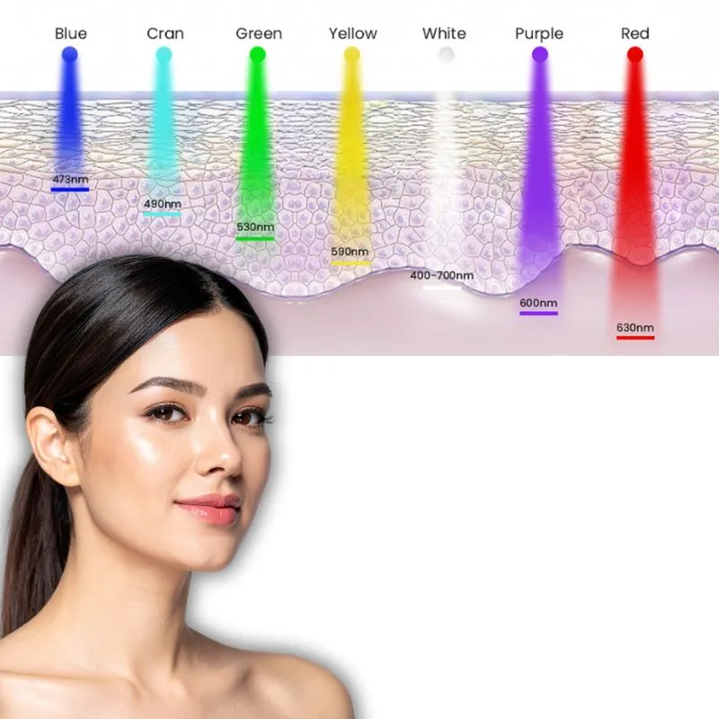 Tác dụng 7 màu ánh sáng sinh học