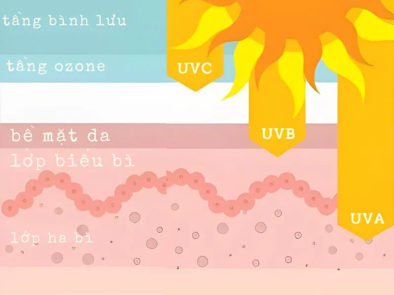 Tia UVA, UVB, UVC là gì? 