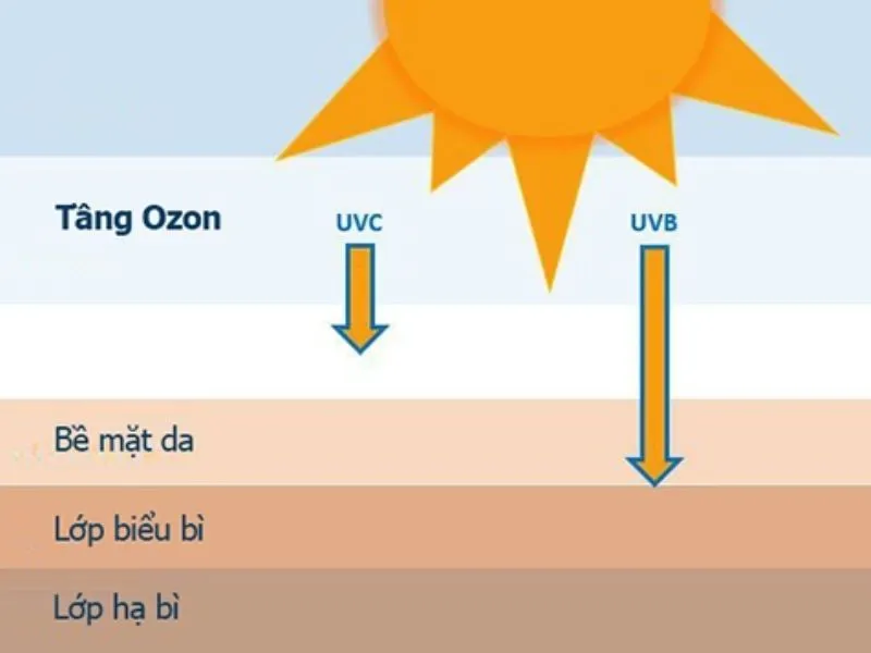 Lợi ích của tia UVA