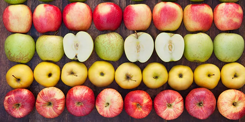 Hàm lượng calo của mỗi quả táo sẽ thay đổi tùy thuộc vào loại táo