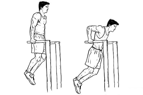 Bài tập 11: Hít xà kép tập ngực