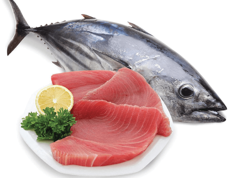 Ăn cá ngừ tươi có tốt không?