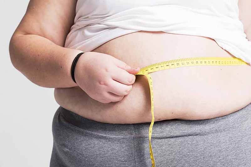 Ăn nhiều đạm làm tăng cân béo phì