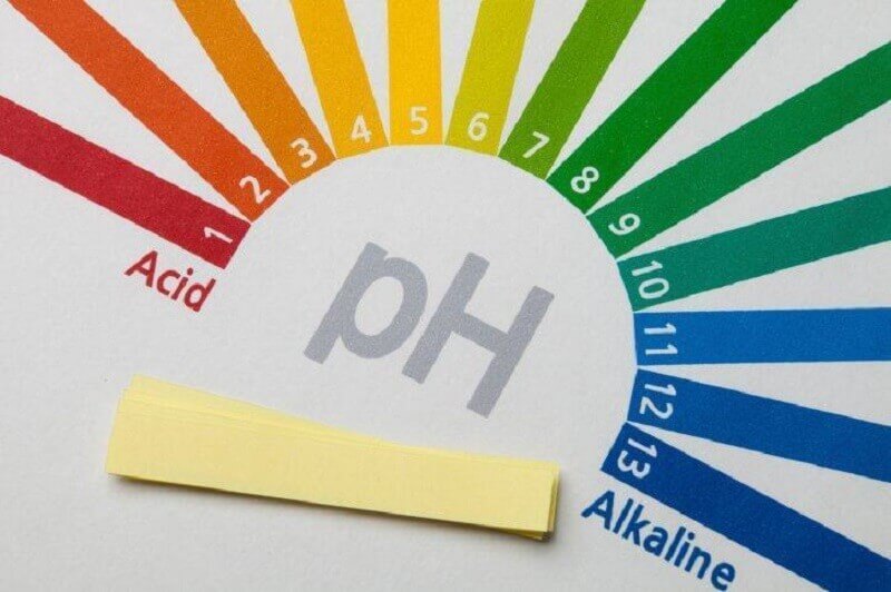 Protein cân bằng ổn định độ pH trong cơ thể