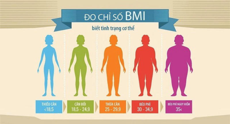Cách đánh giá tình trạng cơ thể dựa trên chỉ số BMI cho nữ