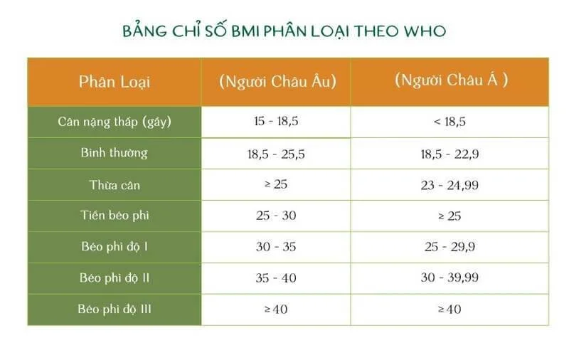 Bảng phân loại chỉ số BMI đánh giá gầy hay béo