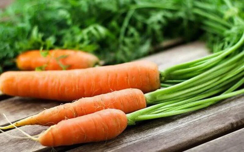 Ăn quá nhiều cà rốt có thể bị dư vitamin A