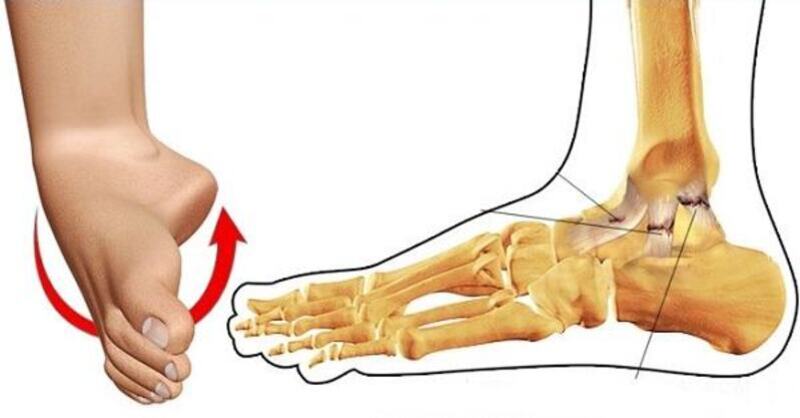 Bàn chân được giới hạn từ dưới hai mắt cá chân đến các đầu ngón chân, bao gồm 02 phần chính là mu bàn chân và gan bàn chân
