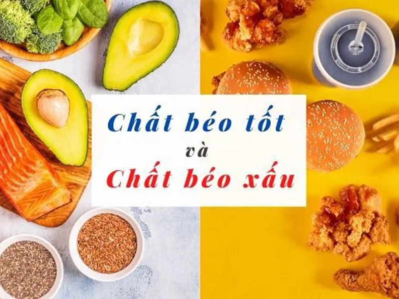 Phân biệt chất béo tốt và chất béo xấu để bảo vệ sức khỏe