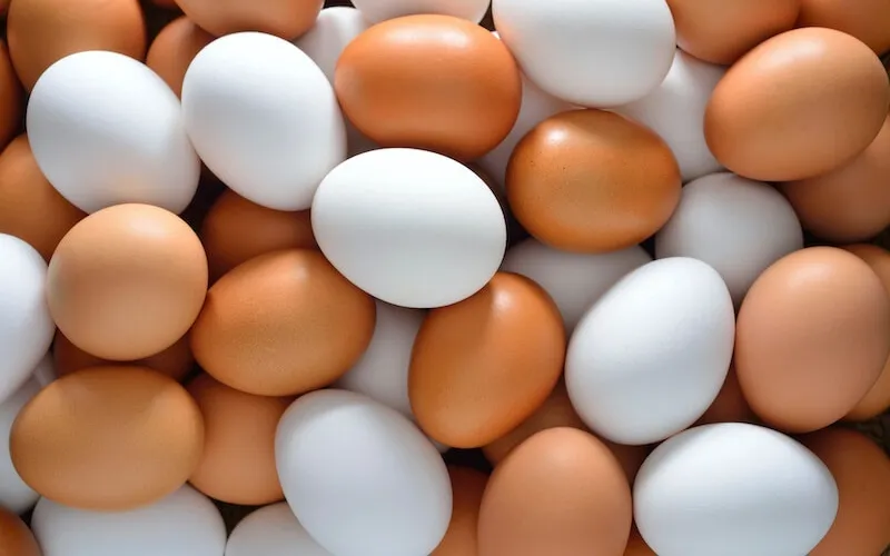 Một quả trứng gà trung bình chỉ chứa khoảng 55 calo