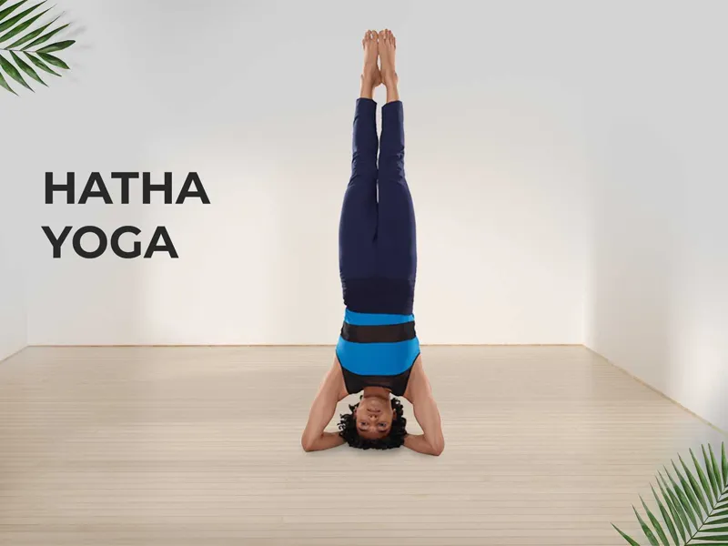 Hatha yoga là gì? Hatha có nghĩa sự nỗ lực hết mình
