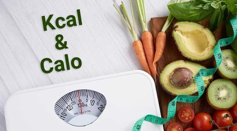 Giải Mã Kcal Khác Gì Calo? Hướng Dẫn Đổi Kcal Sang Calo Chính Xác