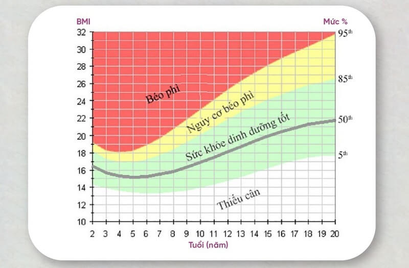 Tìm hiểu bảng biểu đồ chỉ số BMI đối với người dưới 20 tuổi