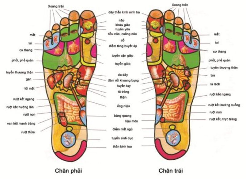 Tác dụng của massage chân đối với sức khỏe thể chất.