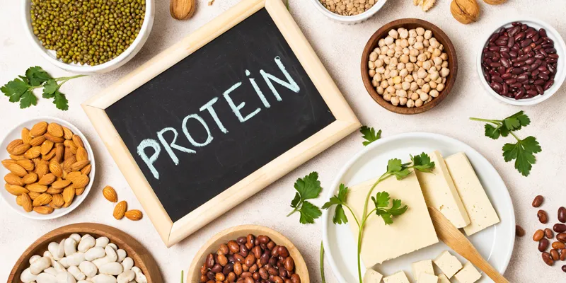 Protein thực vật dễ dàng được cơ thể xử lý