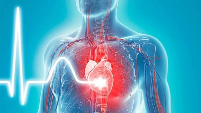 Ảnh hưởng sức khỏe tim mạch