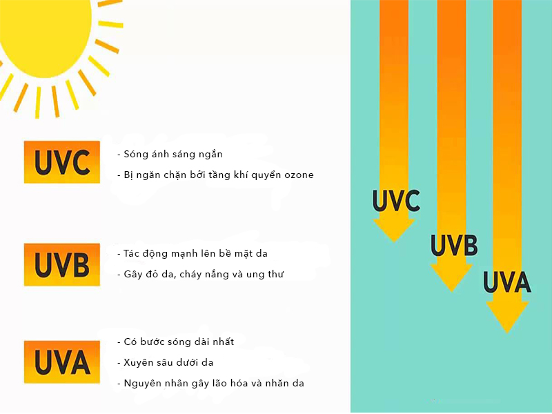 Tia UV được phân làm 03 loại, bao gồm tia UVA, UVB và UVC