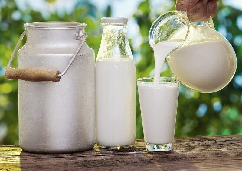 Sữa tươi đem lại nhiều lợi ích cho sức khỏe, thể chất