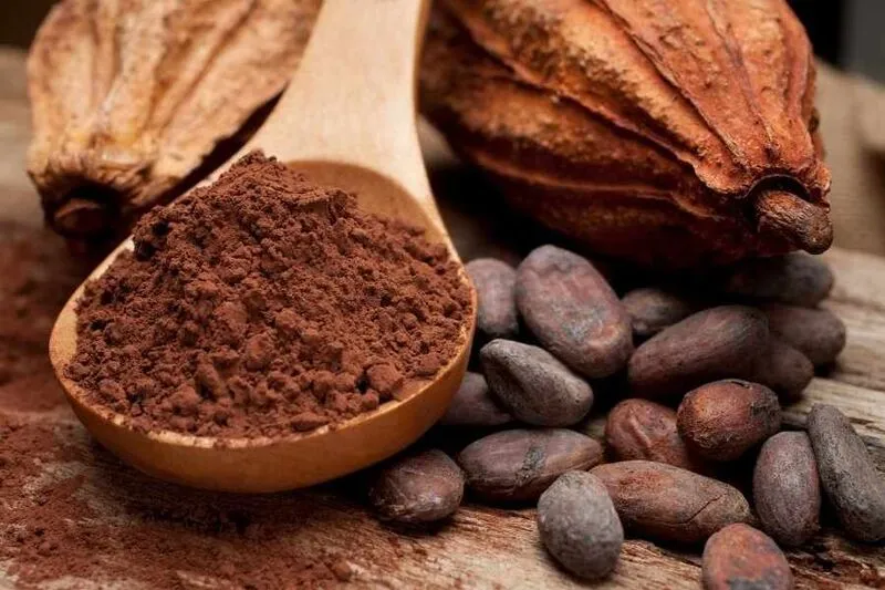 Những mẹo nhỏ để uống cacao giảm cân an toàn nhất 