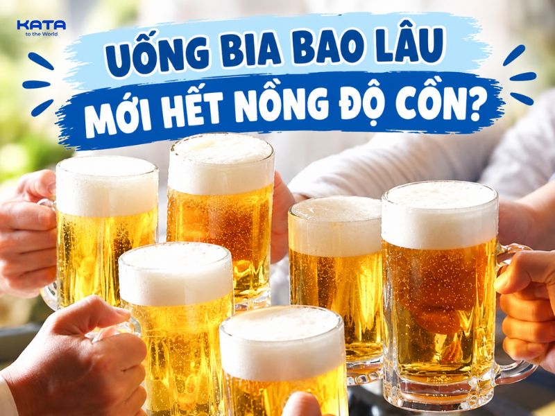 Uống bia bao lâu mới hết nồng độ cồn? Thời gian đào thải cồn