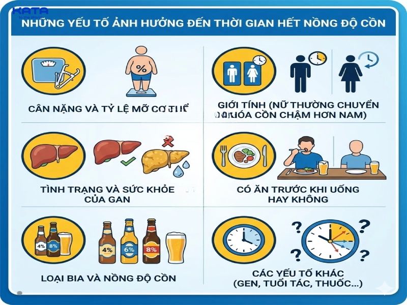 Thời gian cơ thể đào thải hết nồng độ cồn không cố định mà phụ thuộc vào các yếu tố về lượng uống, đặc điểm sinh học và tình trạng sức khỏe